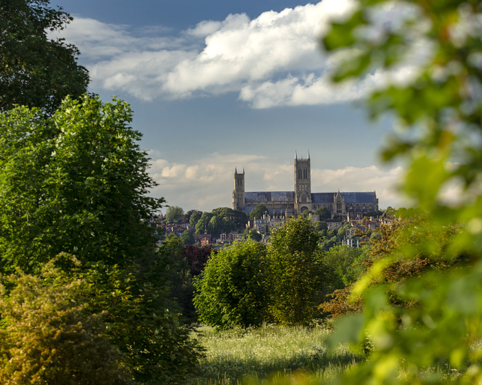 Distant view of Lincoln Cathedral from South Common, with trees and grass in the foreground