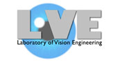 Laboratory of vision engineering logo