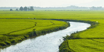 A river bend surrounded by grass-covered fields