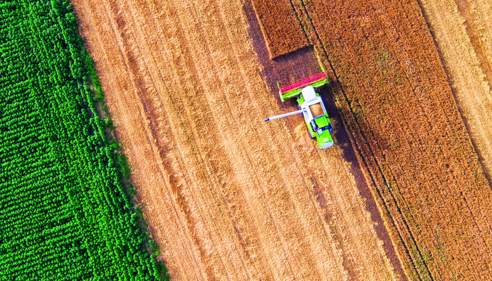 A combine harvester in a field seen from the air