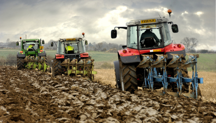 Tractors ploughing a field