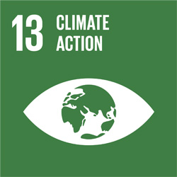 UN Sustainable Development Group 13 - Climate Action