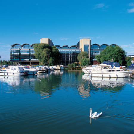 Brayford Pool with Swan