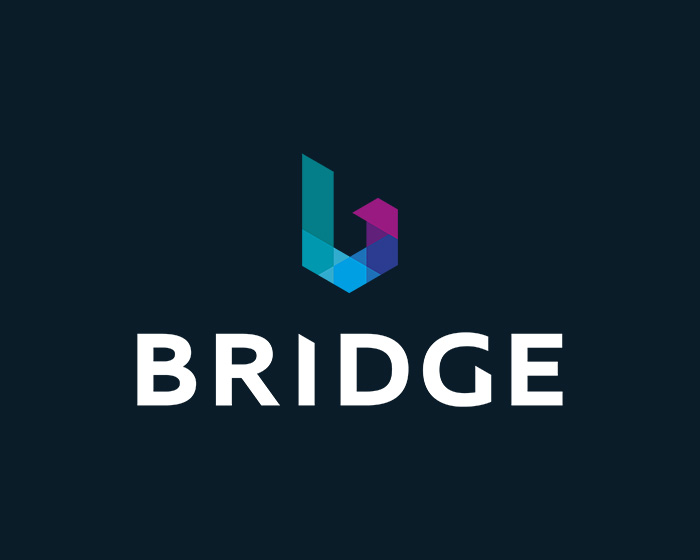 The Bridge Logo