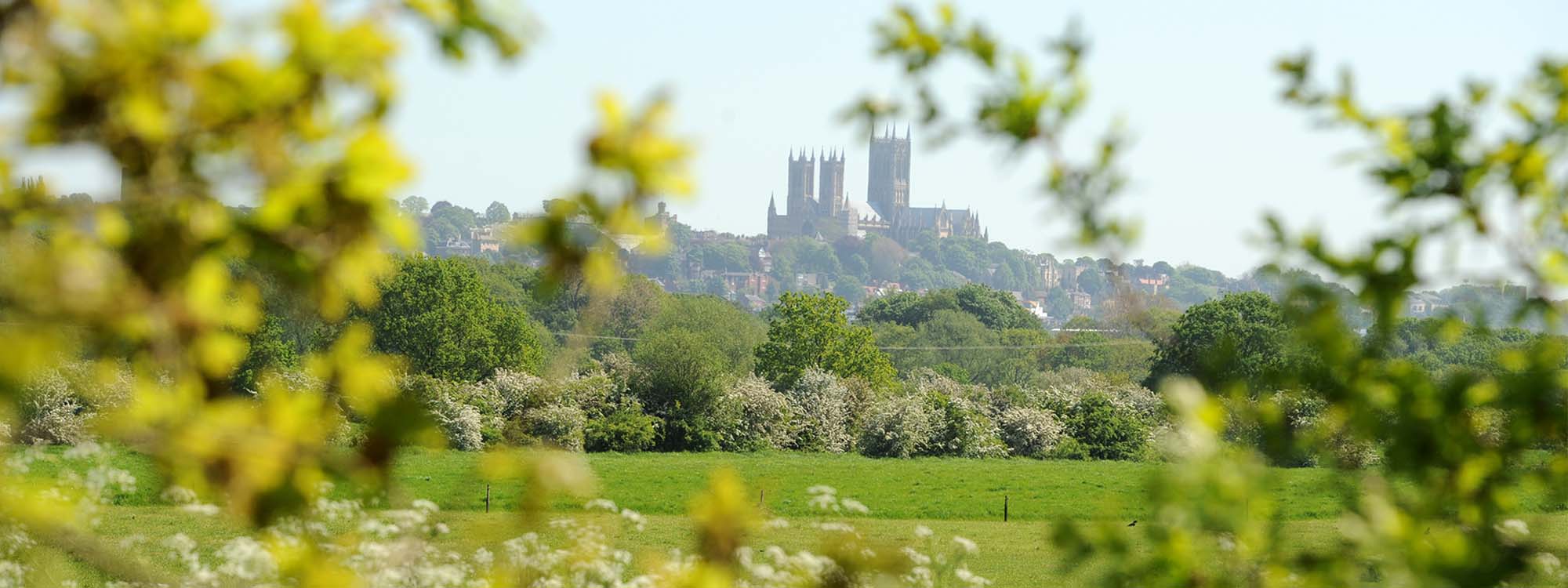 A field of grass with Lincoln Cathedral in the distance