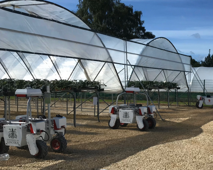 A fleet of robots alongside a stawberry crop