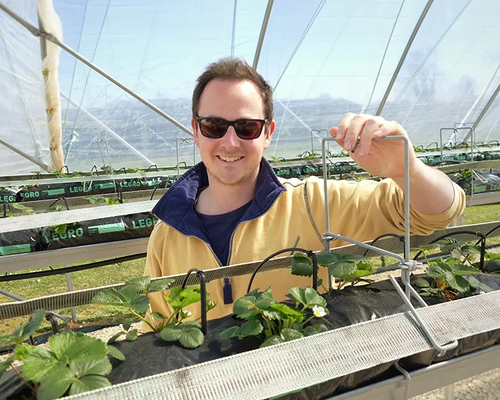 A person in a polytunnel