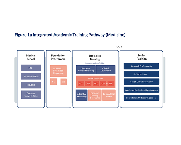 IAT Pathway Diagram