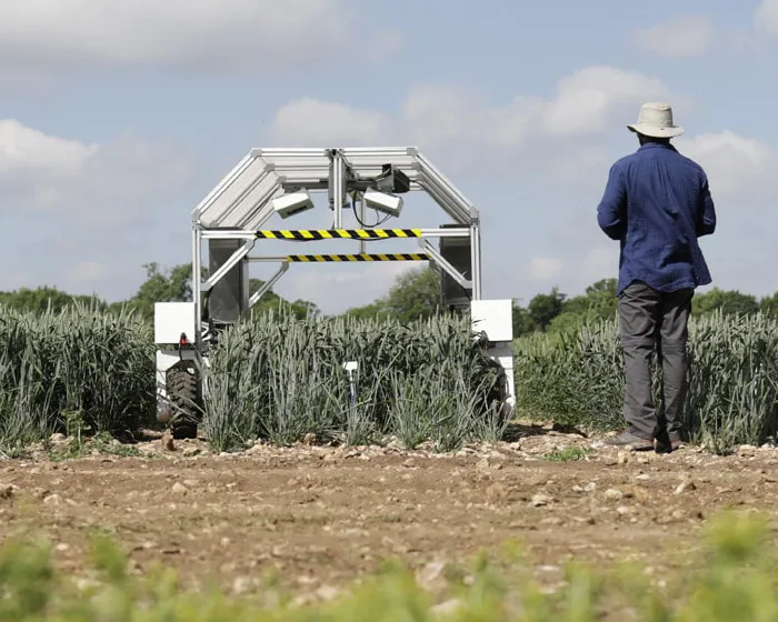 Man and robot in field