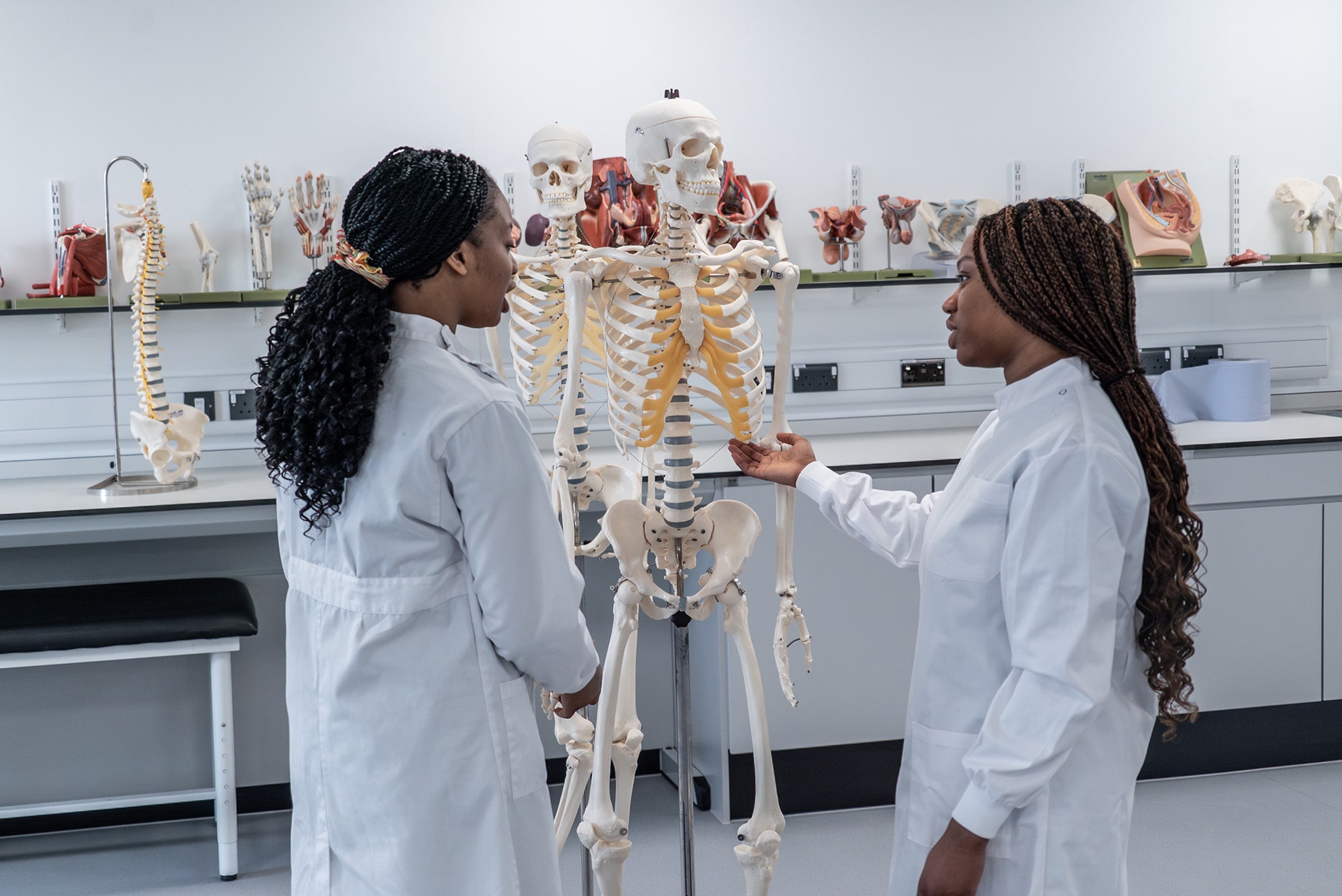 Two students in white lab coats stood observing a full size model of a human skeleton