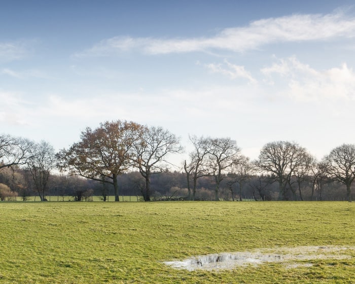 Waterlogged field, with trees in the distance