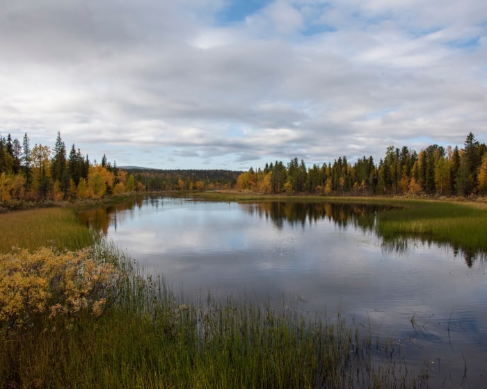 Lake surrounded by grass and trees, beneath a clouded sky