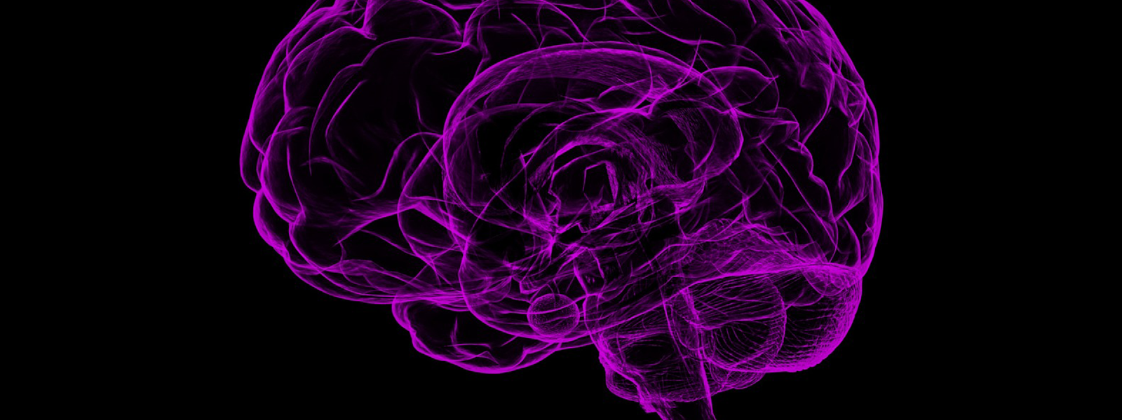 Purple wire-frame brain