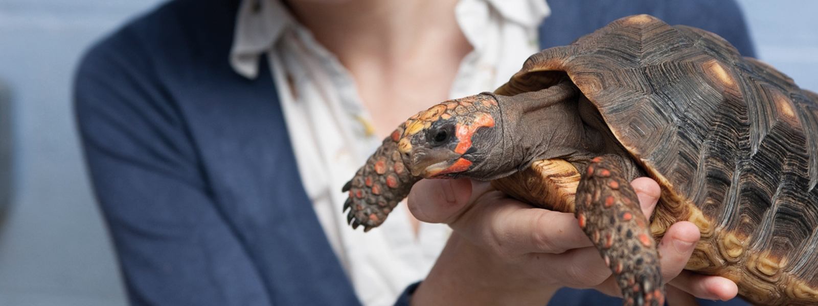 Animal-Behaviour-and-Welfare-Masthead-1600x600