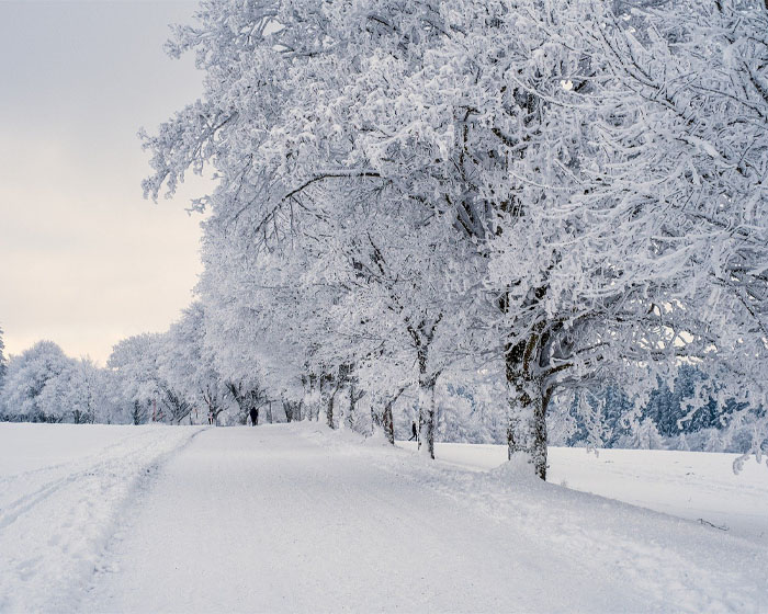 A snow-filled landscape with roads and trees