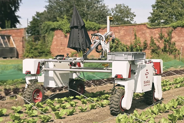 Saga robot fruit picking