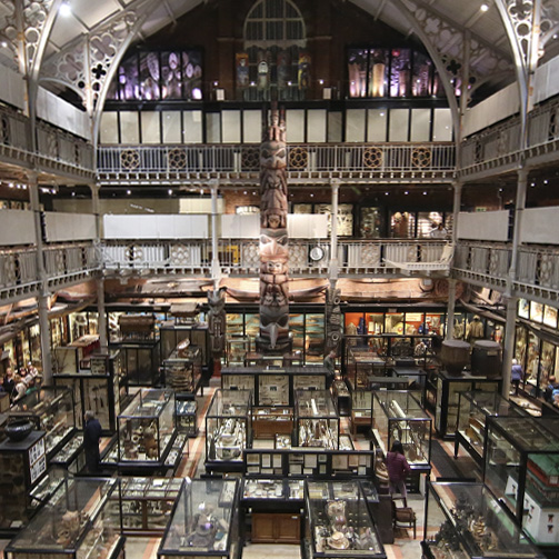 Display cabinets in a museum