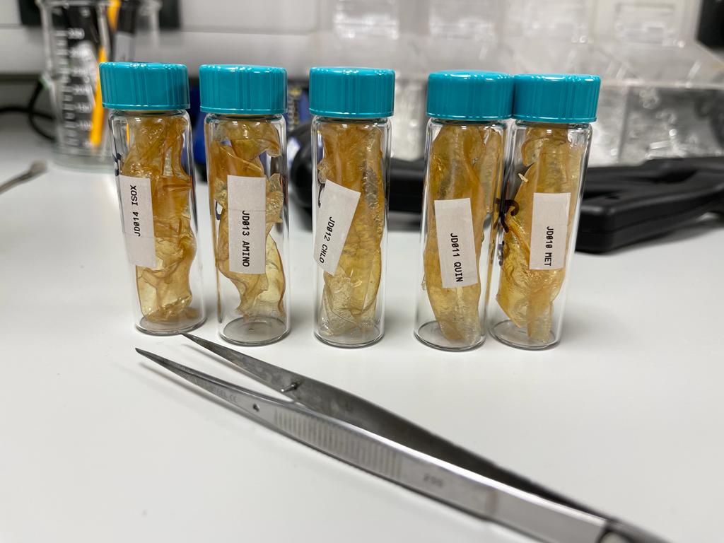 Plant samples in test tubes